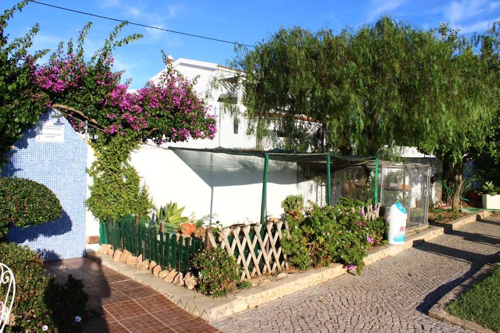 Sunshine Hotel Albufeira Ngoại thất bức ảnh